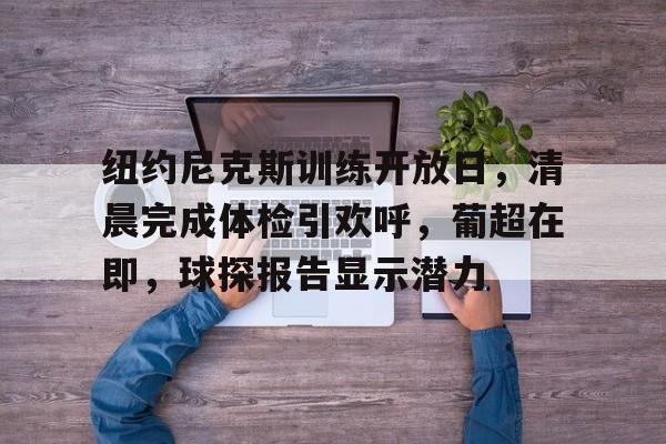 纽约尼克斯训练开放日，清晨完成体检引欢呼，葡超在即，球探报告显示潜力的简单介绍